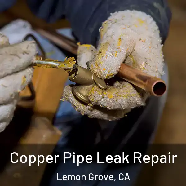  Copper Pipe Leak Repair Lemon Grove, CA