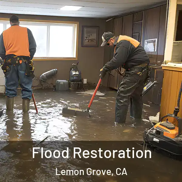  Flood Restoration Lemon Grove, CA