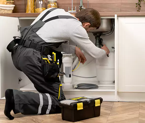 Certified Plumbers for Insinkerator Installation in Lemon Grove