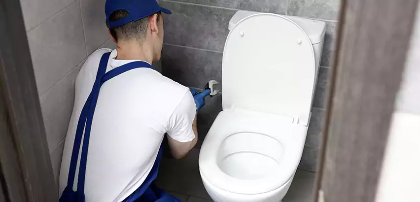 Toilet Lid Replacement in Lemon Grove