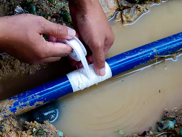 Why Choose Plumbing Lemon Grove for Water Line Replacement in Lemon Grove, CA?