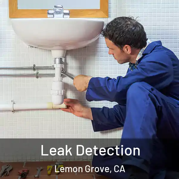  Leak Detection Lemon Grove, CA