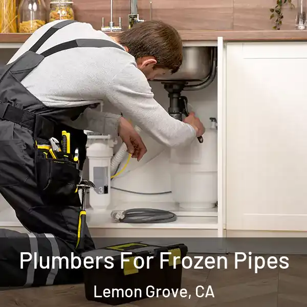 Plumbers For Frozen Pipes Lemon Grove, CA
