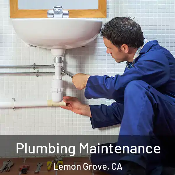  Plumbing Maintenance Lemon Grove, CA