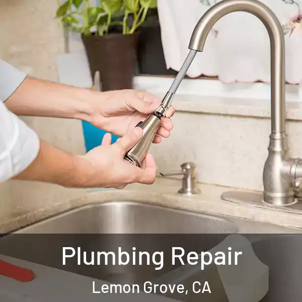  Plumbing Repair Lemon Grove, CA
