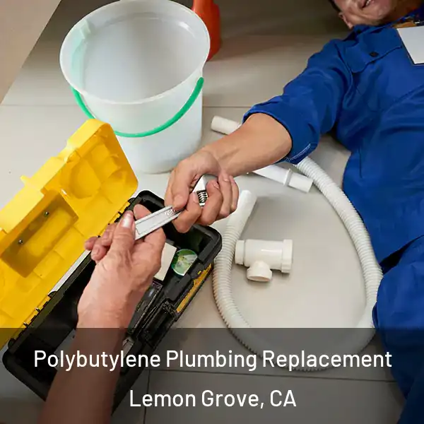  Polybutylene Plumbing Replacement Lemon Grove, CA