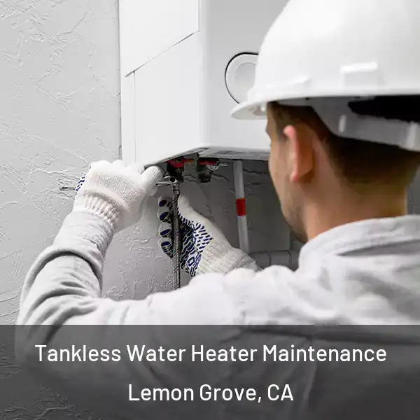  Tankless Water Heater Maintenance Lemon Grove, CA