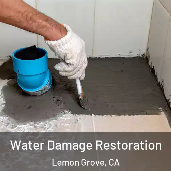  Water Damage Restoration Lemon Grove, CA