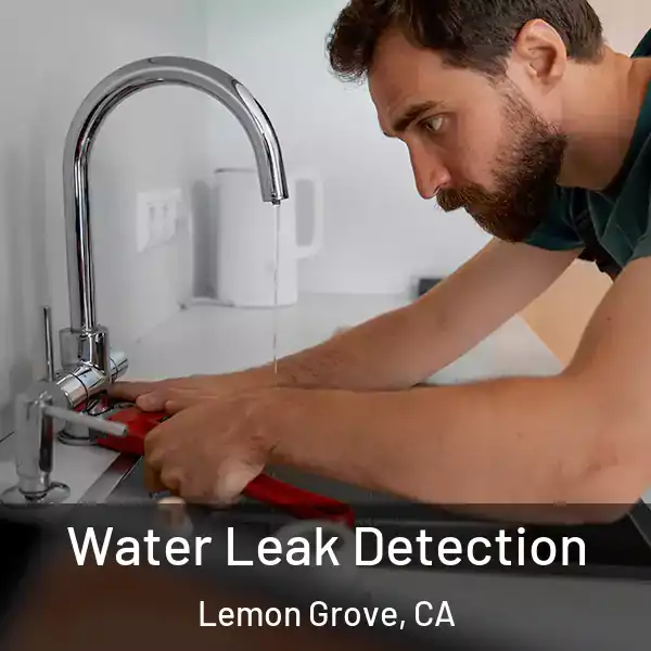  Water Leak Detection Lemon Grove, CA