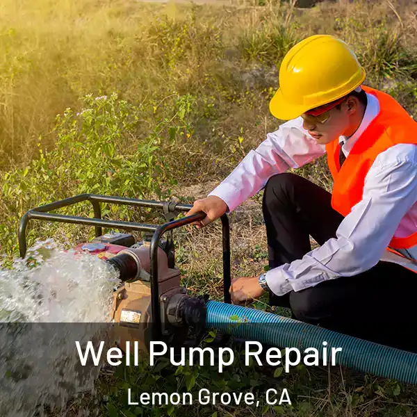  Well Pump Repair Lemon Grove, CA